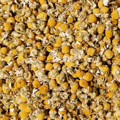 Chamomile