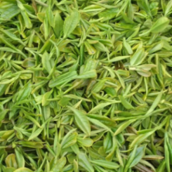 L-Theanine (Green Tea Extract)